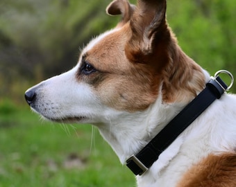 Schwarzes Lederhalsband Hund, Premium Hundehalsband, Hunde-Liebhaber-Geschenk, kleines Hundehalsband, 15 Farben erhältlich