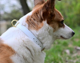 Weißes Lederhalsband für Hunde, Hochzeit Hundehalsband, Hunde-Liebhaber-Geschenk, kleines Hundehalsband, 12 Farben erhältlich, weißes Halsband mit Gold