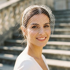 Birdcage Veil Headband Wedding Fascinator Short Bridal Netting Veil Civil Ceremony Courthouse