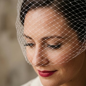 Birdcage Veil Headband, White Bridal Fascinator Bride Hair Accessory for Courthouse & Civil Wedding