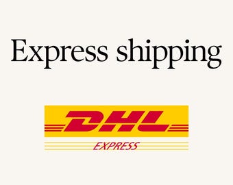 Spedizione espressa per l'Unione Europea (consegna prioritaria con DHL) Spedizione urgente