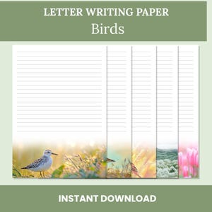 Briefpapier JW – Vogels| Afdrukbaar briefpapier voor Jehovah's Getuigen | A4 en US Letter | Gevoerde en ongevoerde pdf