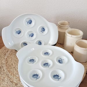 Sofafils Set of 4 White Porcelain Snail Plates, Vintage French Chic Dinnerware, French White and Blue Table Decor