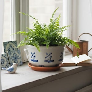 Peut inclure: Un pot de fougère dans un pot en céramique blanc avec des motifs de moulins à vent bleus, posé sur une soucoupe en terre cuite. Une figurine de petit oiseau bleu et blanc et des carreaux décoratifs sont à proximité sur un rebord de fenêtre. Un arrosoir en cuivre et un livre ouvert sont également visibles.