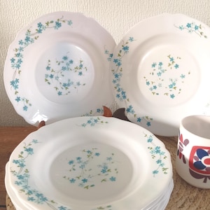 Plato hondo Verónica Nomeolvides, Plato vintage Arcopal Flor Azul, Colección Nomeolvides Arcopal - Años 70