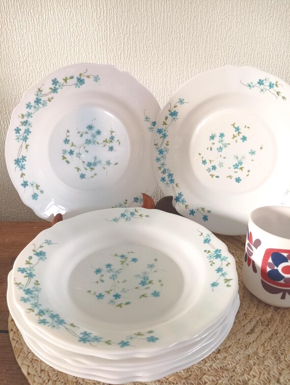 Lot de 12 assiettes à Dessert Arcopal Myosotis - Arts de la table