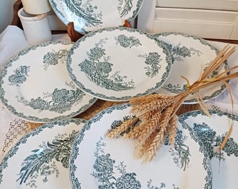 May include: A set of white ceramic plates featuring a green floral pattern. The plates are of different sizes and shapes, with a detailed border and a central floral bouquet. Some wheat stalks are placed on top of the plates.