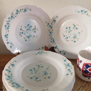 Veronica Forget-Me-Not Soup Plate, Vintage Arcopal Blue Flower Plate, Vintage Arcopal Forget-Me-Not Collection Soup Plate - vintage 1970s