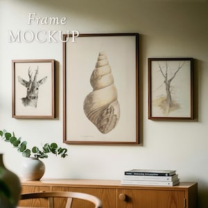 Op de afbeelding: Drie ingelijste kunstdrukken met bruine houten frames hangen aan een lichtgekleurde muur. De prints tonen een hert, een zeeschelp en een boom. De woorden "Frame Mockup" staan bovenaan de afbeelding.