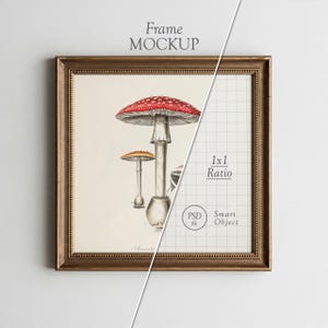 May include: A framed art print featuring a botanical illustration of mushrooms. The artwork is in a gold-colored frame. The largest mushroom has a red cap with white spots. The words "Frame Mockup" are at the top.