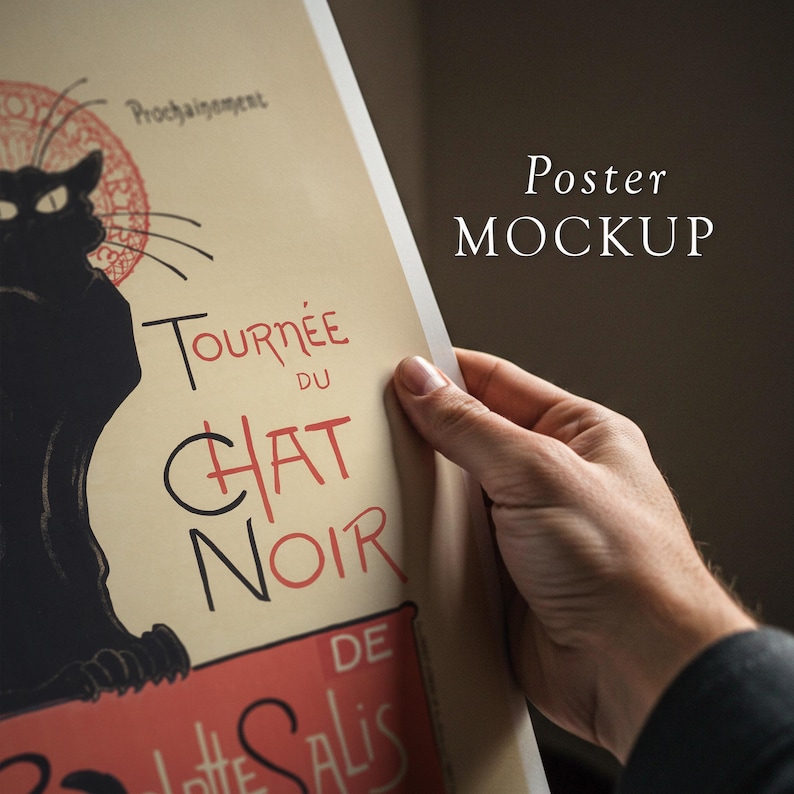 May include: A vintage poster mockup featuring a black cat with a red background. The poster text reads "Tourn&eacute;e du Chat Noir de Salis".