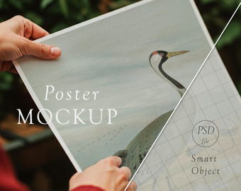 May include: A poster mockup featuring a hand holding a poster with a watercolor painting of a crane. The poster has the text "Poster Mockup" printed on it.