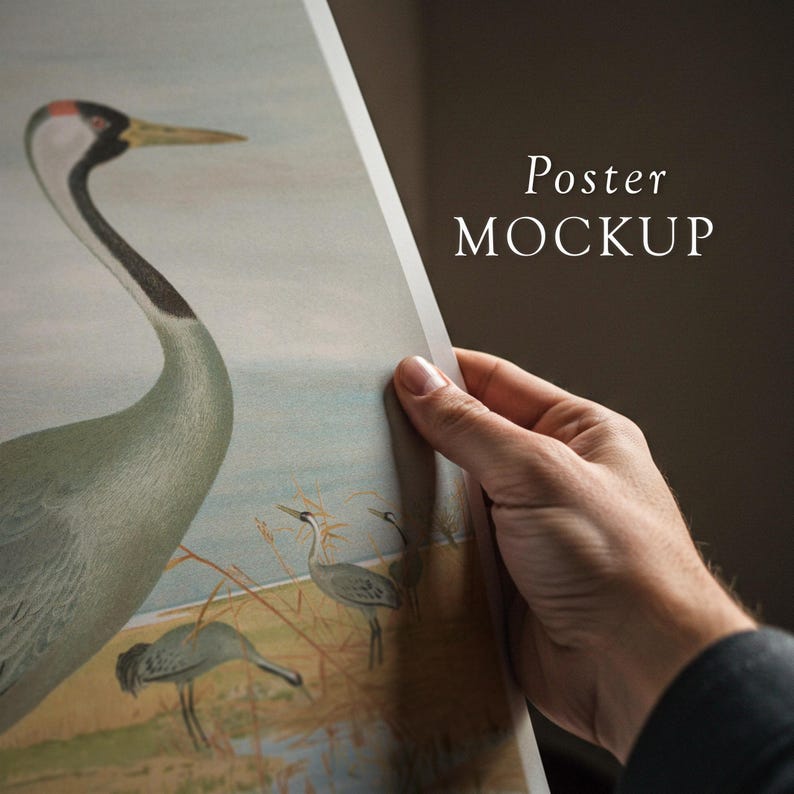 May include: A hand holds up a poster mockup featuring a vintage illustration of a crane in a wetland setting. The poster has a light brown background and the text "Poster MOCKUP" is printed in white at the top right corner.