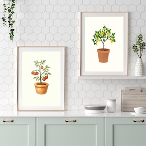 May include: Two framed watercolor prints of potted plants. One features a tomato plant with red tomatoes, the other a lemon tree with yellow lemons. Both plants are in terracotta pots, set against a white background.