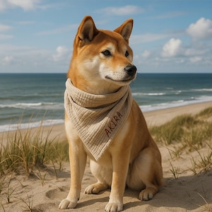May include: A Shiba Inu dog with ginger fur sits on a sandy beach, wearing a beige bandana embroidered with the name "AKIRA" in red. The dog looks to the side, with the sea and sky visible in the background.