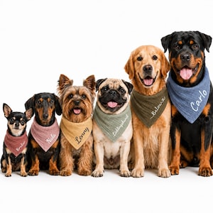 Personalized dog bandana with name, made of muslin, 100% cotton, ideal as a gift