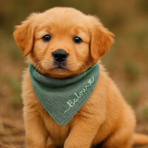Halstuch für Hunde personalisiert mit Namen aus Musselin 100% Baumwolle ideal als Geschenk