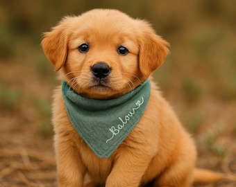 Scarf for dogs personalized with name made of muslin 100% cotton ideal as a gift