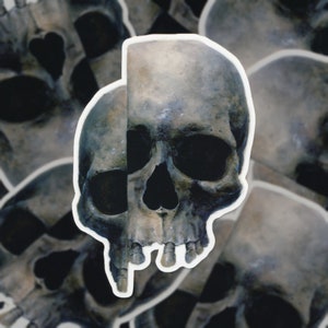 Split Skull Patch | Etsy