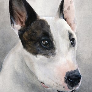 Custom Pet Portrait Realistic Watercolor Painting of Your Dog, Cat, or any Pet image 3