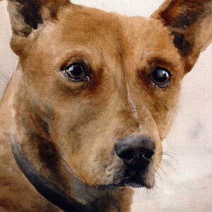 Custom Pet Portrait Realistic Watercolor Painting of Your Dog, Cat, or any Pet image 1