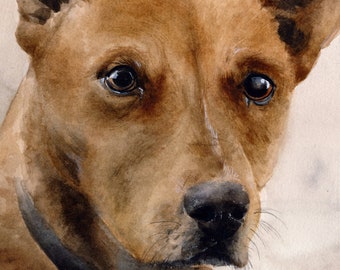 Custom Pet Portrait - Realistic Watercolor Painting of Your Dog, Cat, or any Pet