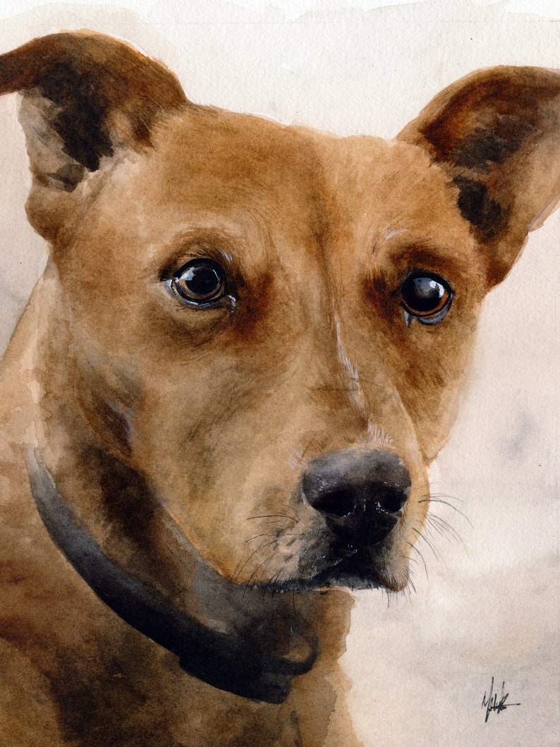 Custom Pet Portrait Realistic Watercolor Painting of Your Dog, Cat, or any Pet image 1