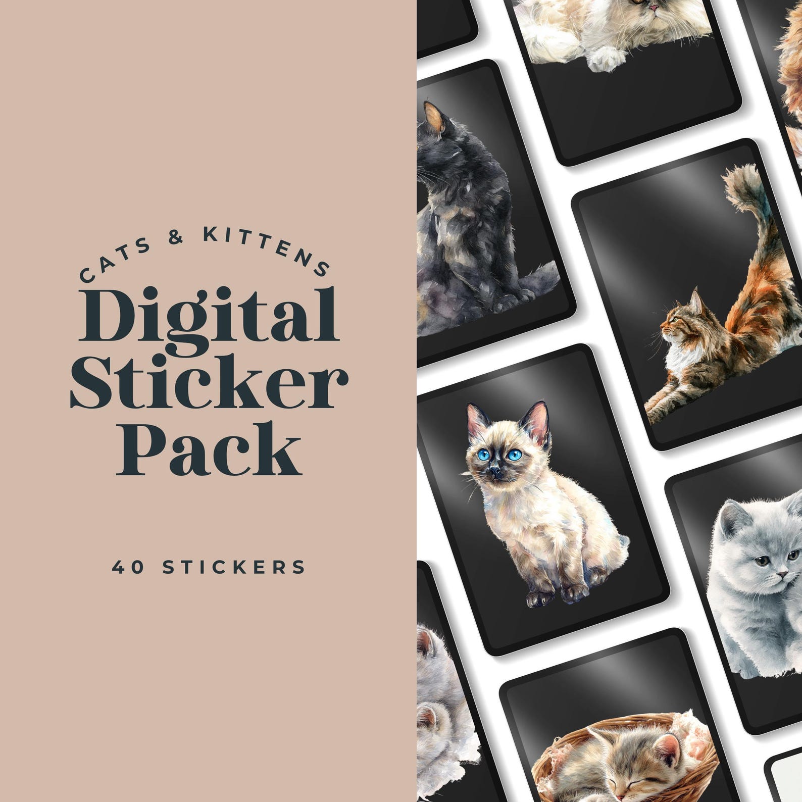 Watercolor Cat Breed Stickers: Kitten Digital Planner Art (PNG) 40 ...