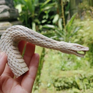 Puede incluir: Una figura de serpiente tallada, de color blanquecino, con escamas detalladas y un cuerpo curvado. La cabeza de la serpiente está abierta, y la figura se sostiene en una mano sobre un fondo de follaje verde. La escultura parece estar hecha de un material claro.