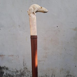 Può includere: Un bastone da passeggio in legno con una testa di ratto scolpita in cima. Il ratto è bianco e guarda a destra. Il bastone è marrone e ha una finitura liscia.