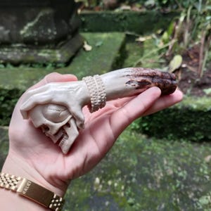 antler carving made for knife handle or walking stick handle skull motive
