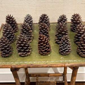 May include: A collection of brown pine cones with white tips arranged on a green table. The table has a bamboo frame and a decorative border. The pine cones are of varying sizes and shapes, creating a natural, rustic aesthetic.