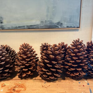 MISFIT (Have some imperfections) Long Leaf Pine Cones 5-7" – Rustic Wedding, Holiday Decor (Set of 10)