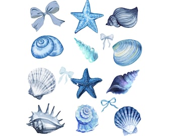 Coquette Seashell PNG, Beach Png, Coastal Png, Retro Summer Png, Summer Vibes Png, Summer Coquette Png, Vintage Summer Png, Girls Trip Png