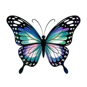 Borboleta Preta Clipart PNG Imagens Fundo Transparente