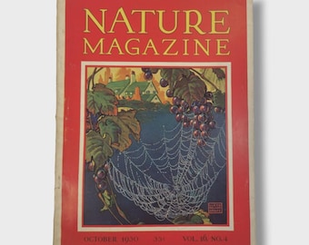 Nature Magazine October 1930 – Signed Spider Web Cover – Lloyd Goffe Art – R. Bruce Horsfall Wildlife Illustrations – Vintage Ephemera