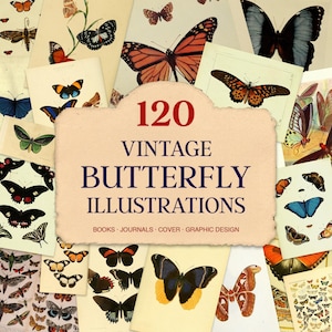 Vintage Butterfly Illustrations: Antique Insect Prints (Digital Download)