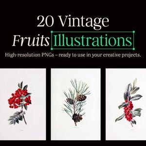 Vintage Fruit Illustrations Set – Antique Botanical Prints, Retro Clipart, Digital Download, Scrapbook Ephemera, Printable Wall Art