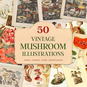Vintage Pilze Illustrationen: Pilze Illustrationen - Botanische Clipart (digitaler Download)