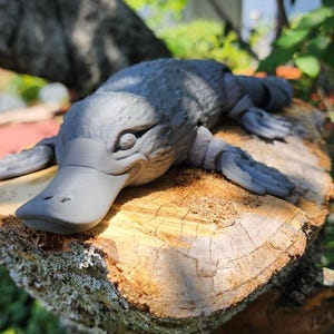 Puede incluir: Una figura de ornitorrinco gris, impresa en 3D, descansando sobre una superficie de madera envejecida. La figura tiene detalles, incluyendo un pico de pato y patas palmeadas. El fondo está borroso con follaje verde.