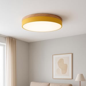 Simple Scandinavian Design Light, Custom Color Ceiling Fixture, Kitchen or Study, Minimalist Round Lamp, Geometric LED Flush Mount Lamp