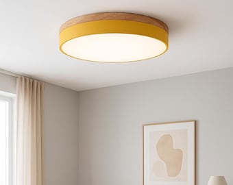 Simple Scandinavian Design Light, Custom Color Ceiling Fixture, Kitchen or Study, Minimalist Round Lamp, Geometric LED Flush Mount Lamp