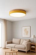 Simple Scandinavian Design Light, Custom Color Ceiling Fixture, Kitchen or Study, Minimalist Round Lamp, Geometric LED Flush Mount Lamp