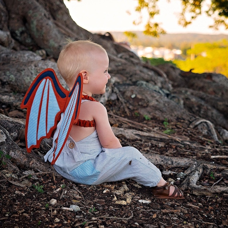 Peut inclure: Un jeune enfant portant une combinaison bleue avec un costume d'ailes de dragon rouge et bleu. L'enfant est assis sur une racine d'arbre avec un fond de terre et de feuilles.