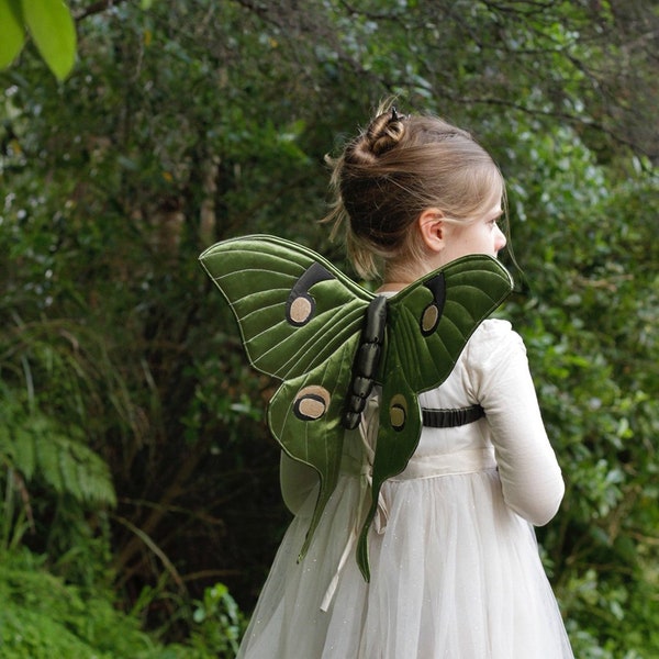 Luna Moth Wings - Small & Medium - Digital PDF Pattern + Video Class