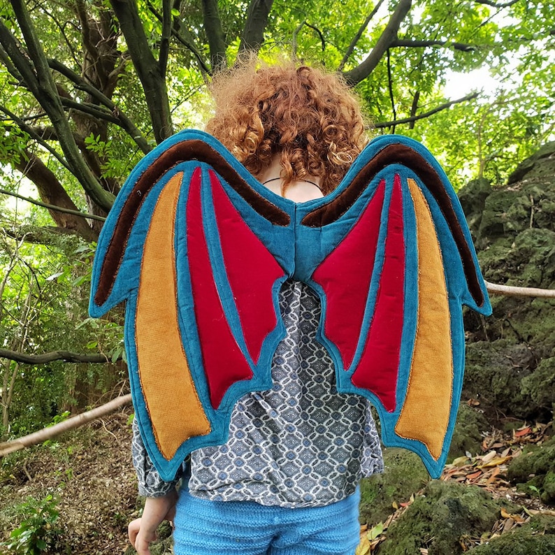 Peut inclure: Une paire d'ailes de dragon en tissu. Les ailes sont bleues, rouges, jaunes et brunes. Elles sont attach&eacute;es au dos d'une personne.
