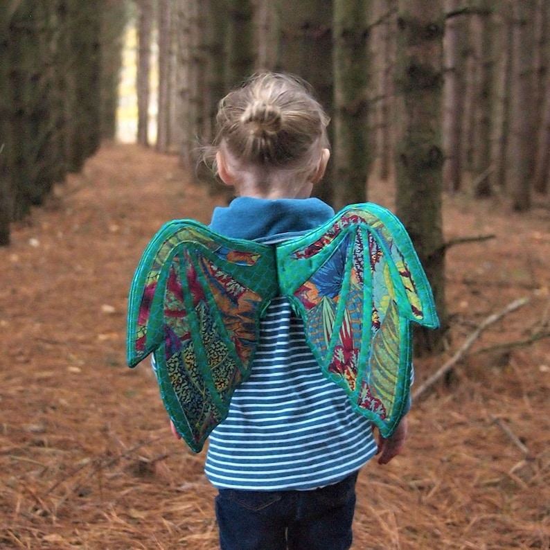 Peut inclure: Un enfant portant une chemise ray&eacute;e bleu et blanche avec une paire d'ailes en tissu color&eacute;. Les ailes sont faites de tissu patchwork avec des couleurs vertes, rouges, jaunes et bleues. L'enfant se tient dans un environnement forestier.