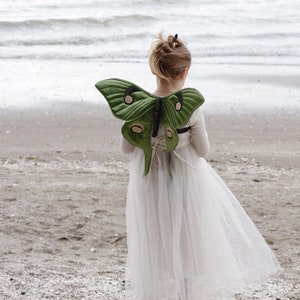 Luna Moth Wings - Bundle - Digital PDF Sewing Pattern + Video Class