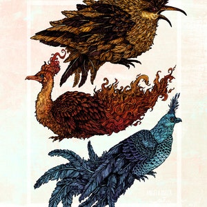 Legendary Birds 8x10&quot; Metallic Print