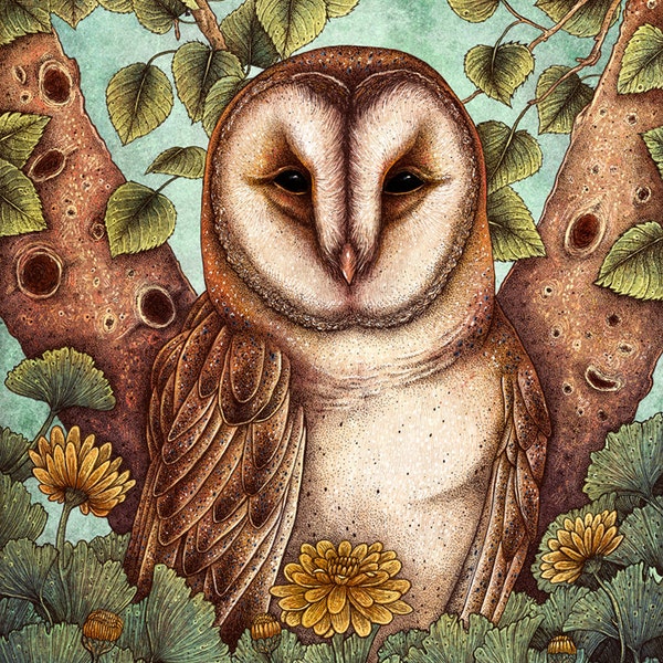 Spring Barn Owl 8x10"